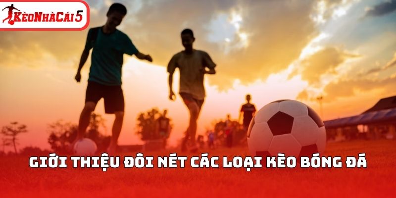 Giới thiệu đ&ocirc;i n&eacute;t c&aacute;c loại k&egrave;o b&oacute;ng đ&aacute;