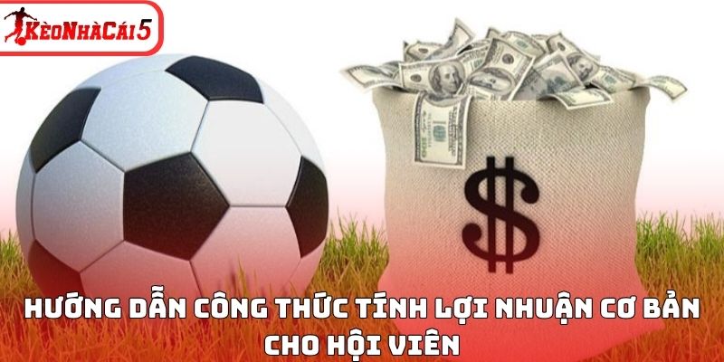Hướng dẫn c&ocirc;ng thức t&iacute;nh lợi nhuận cơ bản cho hội vi&ecirc;n