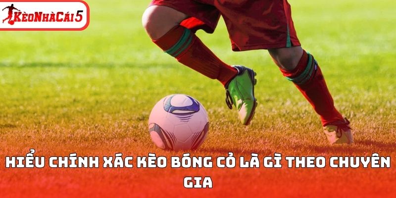 Hiểu ch&iacute;nh x&aacute;c k&egrave;o b&oacute;ng cỏ l&agrave; g&igrave; theo chuy&ecirc;n gia&nbsp;