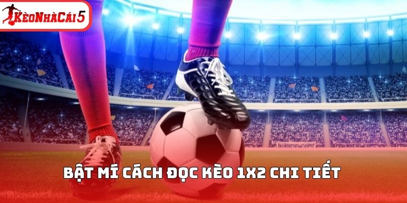 Bật m&iacute; c&aacute;ch đọc k&egrave;o 1x2 chi tiết&nbsp;