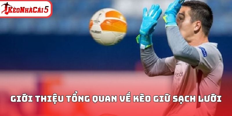 Giới thiệu tổng quan về k&egrave;o giữ sạch lưới