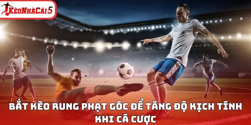 Bắt k&egrave;o rung phạt g&oacute;c để tăng độ kịch t&iacute;nh khi c&aacute; cược