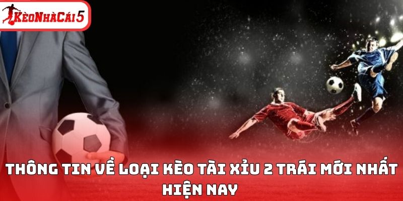 Th&ocirc;ng tin về loại k&egrave;o t&agrave;i xỉu 2 tr&aacute;i mới nhất hiện nay&nbsp;
