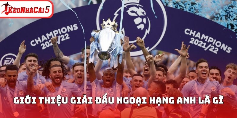 Giới thiệu giải đấu ngoại hạng Anh l&agrave; g&igrave;