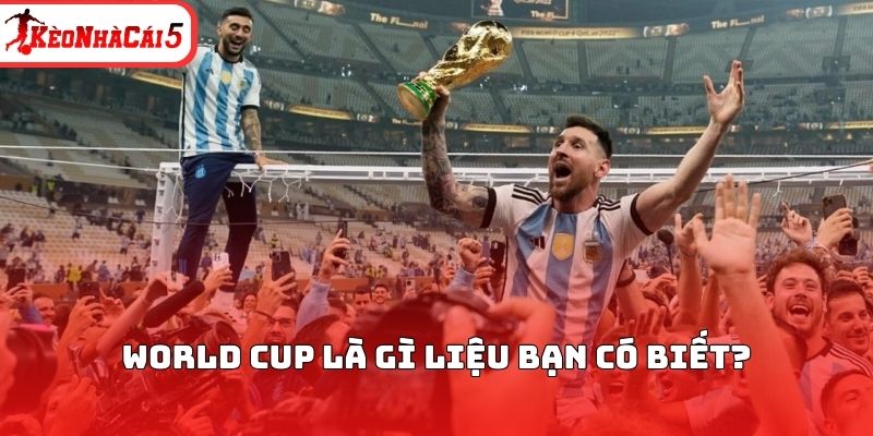 World Cup l&agrave; g&igrave; liệu bạn c&oacute; biết?